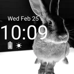 Baby Bunny Belle