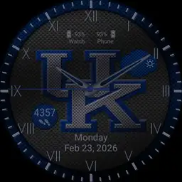 University of Kentucky Carbon Fiber Copy