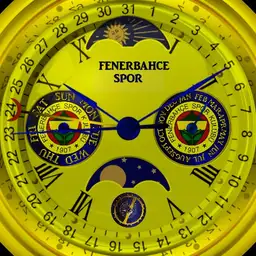 FENERBAHCE SPOR
