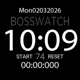BOSSWATCH1 Copy