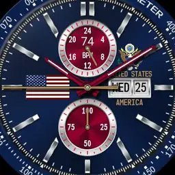 U.S.A Flag