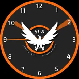 The Division - SHD Logo Watchface