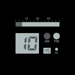 Nooka Zem Zoo Night