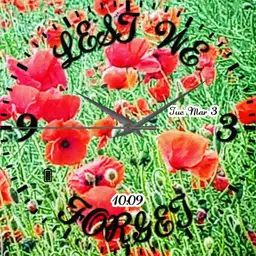 lest we forget