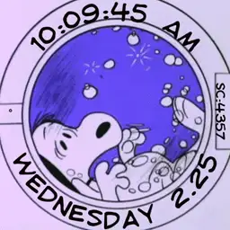 Snoopy; Dog Wash