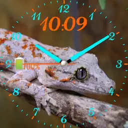 gargoyle gecko