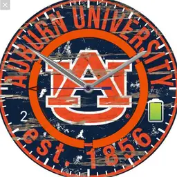 Auburn