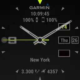 Garmin full info gray, green