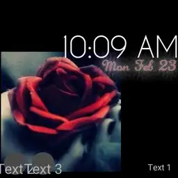 Rose
