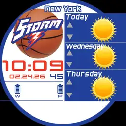 Storm Forecast