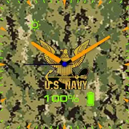 US Navy green camo