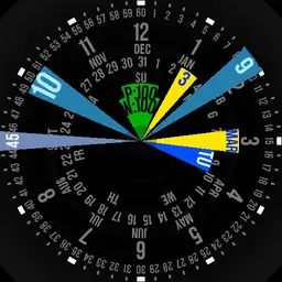 Vishnu Dial Edition Copy