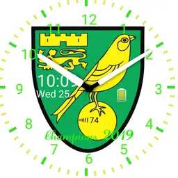Norwich City Champions