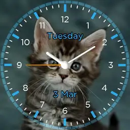 Kitty