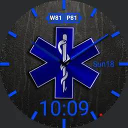 GP-EMS v1.1