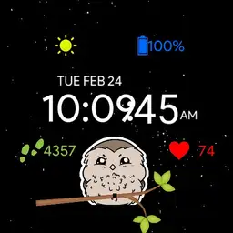 Owl