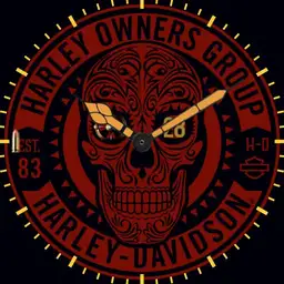 Harley-Davidson Owners Group 83