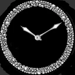 Diamond Watch - plwren
