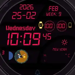 PA WATCH 61