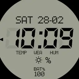 LCD