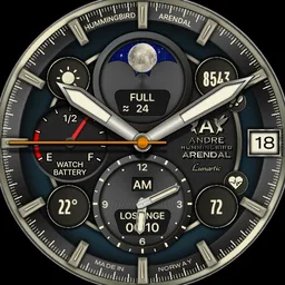 HummingBird Arendal Lunartic 071025 WFF Ver2
