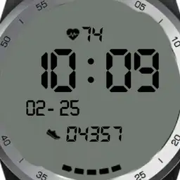 Ticwatch Pro Essential mode