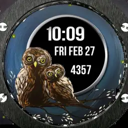 Two owls