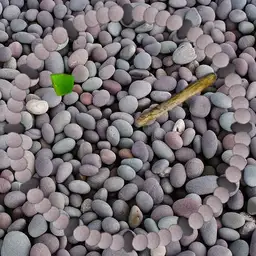 Pebbles