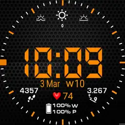 264805 Copy