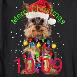 yorkie Christmas