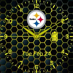 Steelers2