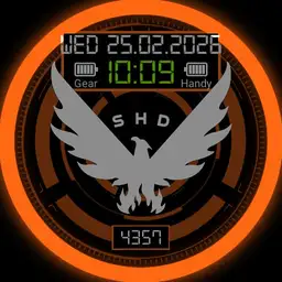 The Division SHD Agent Gear