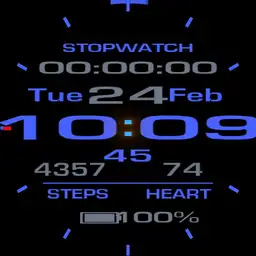 BLUE WATCH