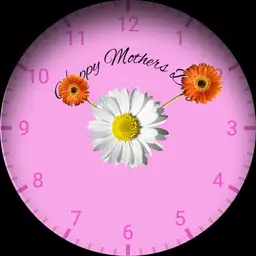 TTG Mothers Day - Daisy Analogue.