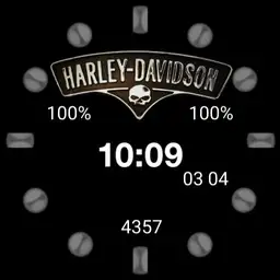 Silver Harley CVO top Copy
