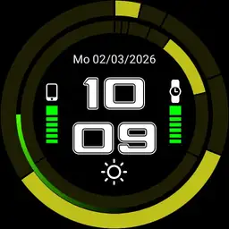Trinary Watch 2.1 DS