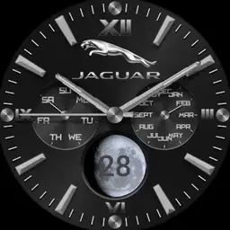 Jaguar Metalic black