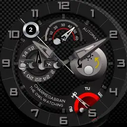 CHARMEGABRAN, The Owlwatching