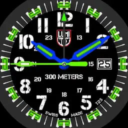 luminox dive master carbon Copy
