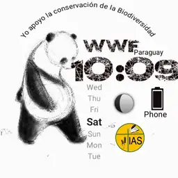 Animated WWF