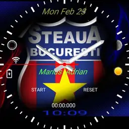 steaua bucuresti