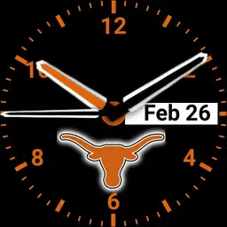 Texas Longhorn