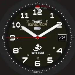 Timex Expedition/ Model T43371