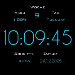Nice Watch