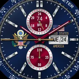 U.S.A Seal