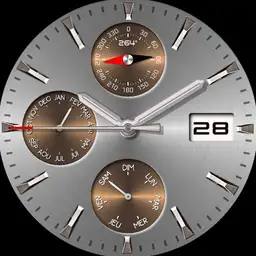 Argent watch