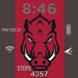 MY HOGS