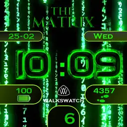 WALKS WATCH MATRIX 1