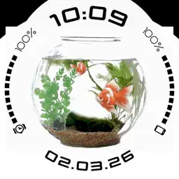 aquarium animated III
