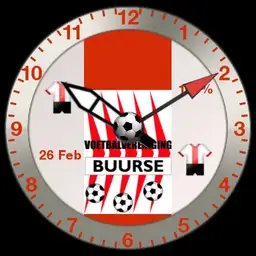 vvBuurse analog